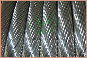 ACSR Conductor In Gujarat | AAAC Conductor In Gujarat
